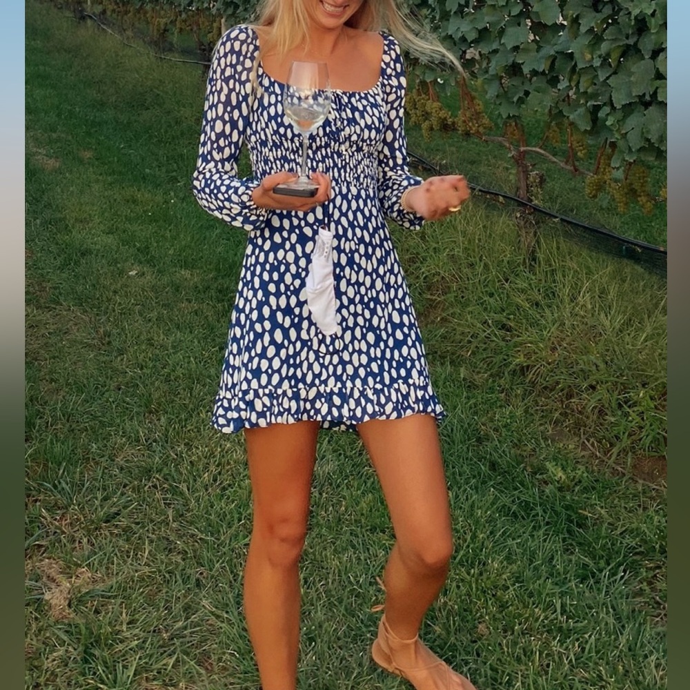 Reformation Long Sleeve Blue Dress